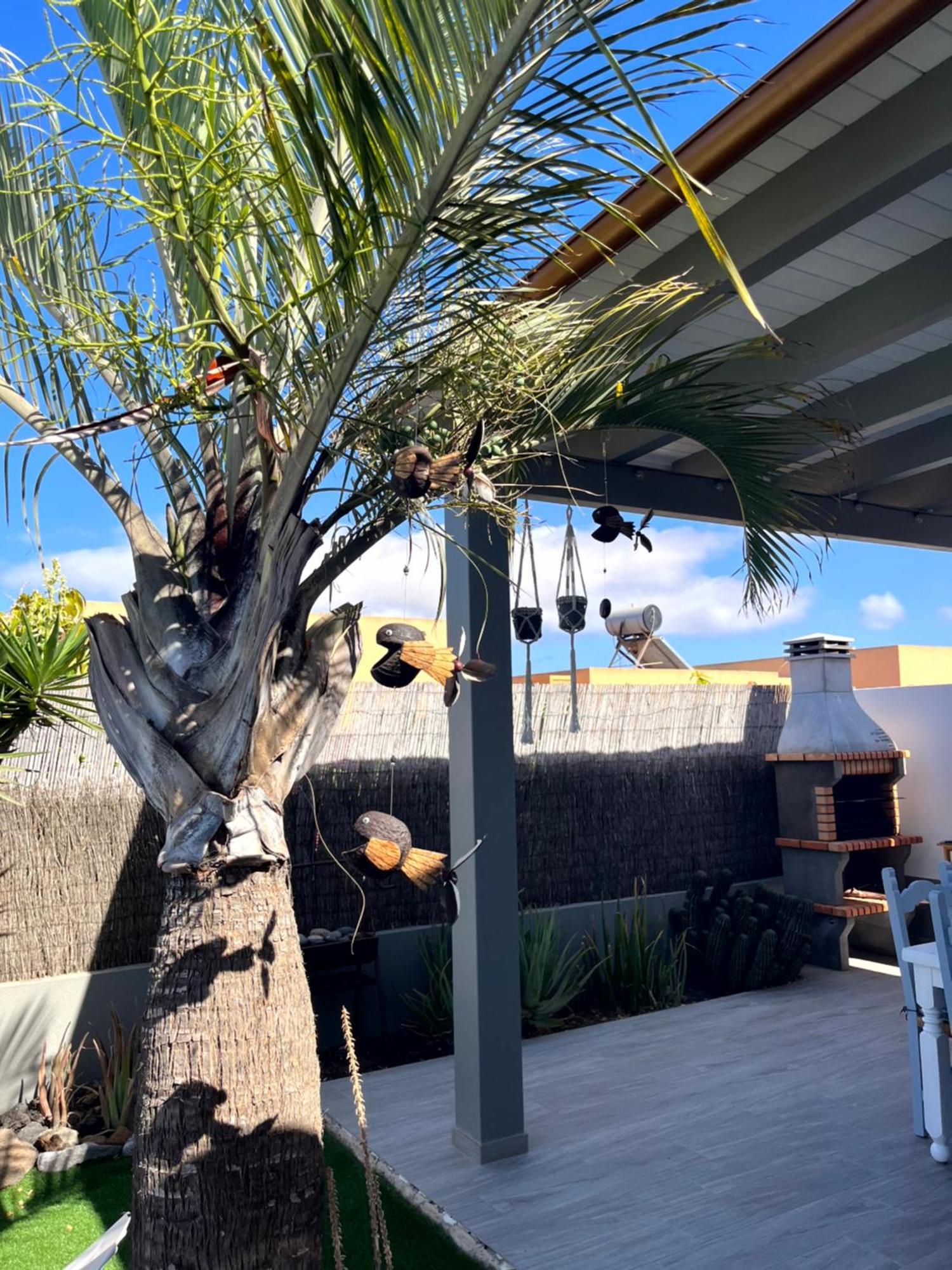 Villa Papi La Oliva Buitenkant foto
